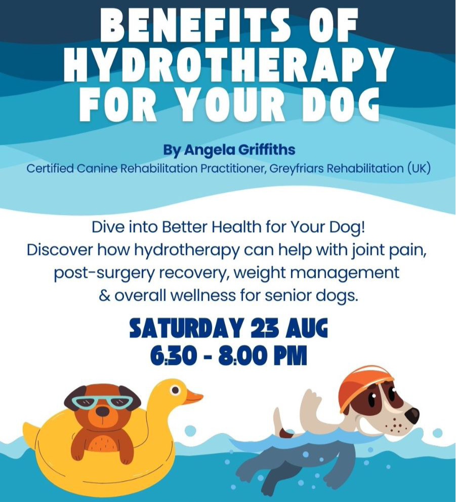 Benefits Of Hydrotherapy For Your Dog