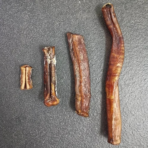 Bull Pizzle (Bully Sticks)