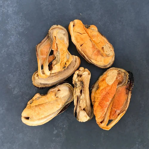 Green Lipped Mussels