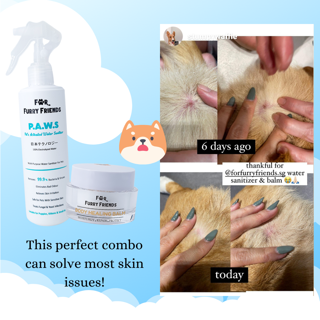 FOR FURRY FRIENDS Body Healing Balm