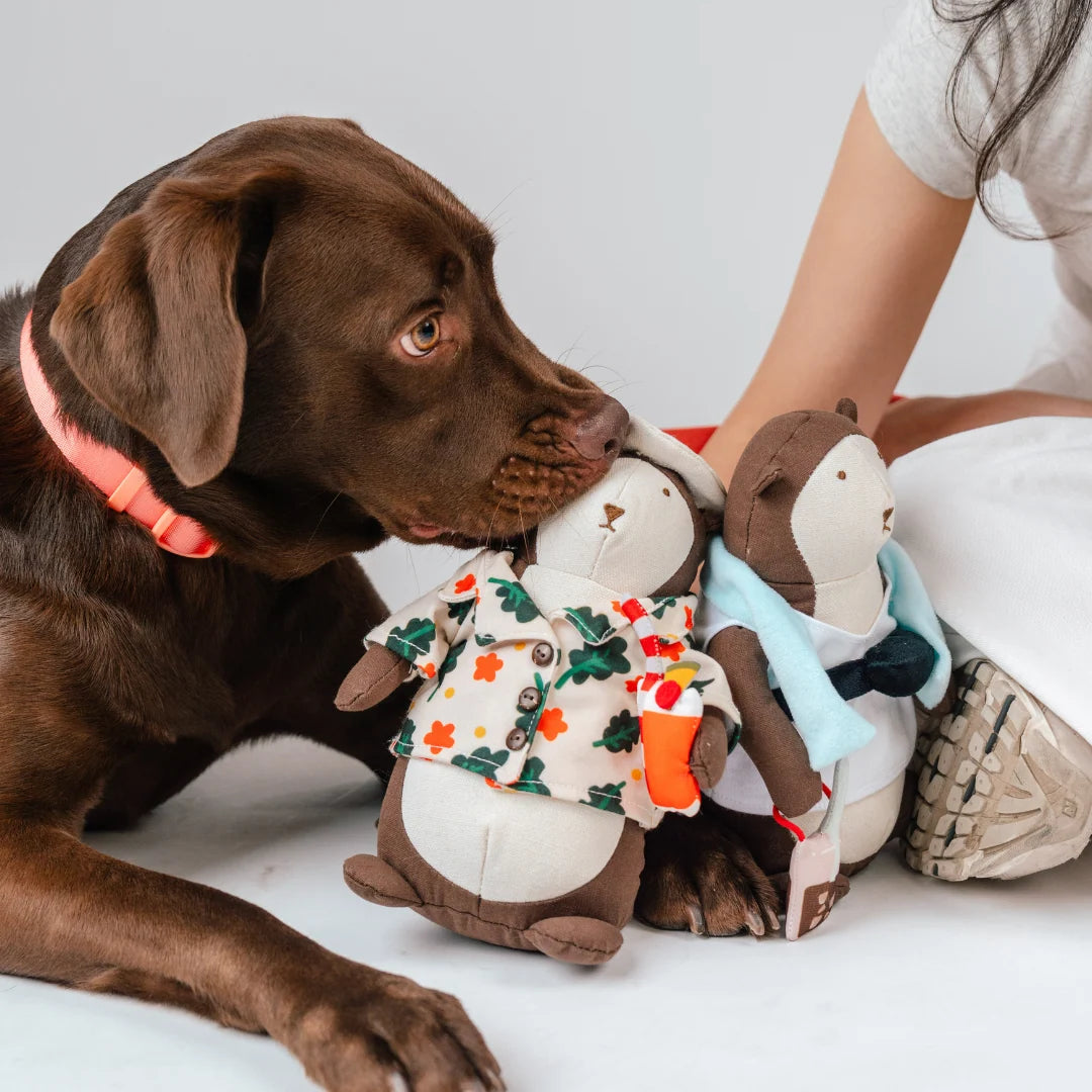 Gentle Pup Bishan the Otter Squeaker Toy
