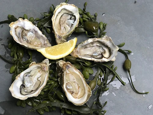 Kaki (Oysters)