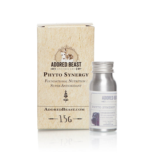 ADORED BEAST Phyto Synergy (Super Antioxidant) 15g